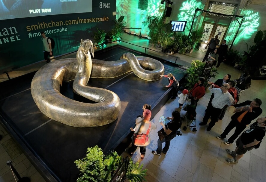 Считается, что миллионы лет назад на Земле жили змеи Титанобоа, самые большие в истории. Фото.