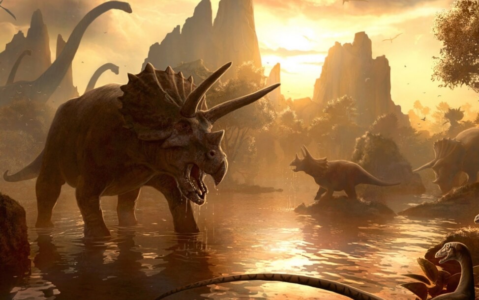 После падения астероида 66 миллионов лет назад вымерли далеко не все животные. Фото.