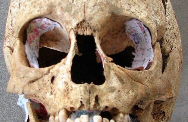 Когда и где древние люди начали пить молоко. В зубном камне «ямников» ученые обнаружили следы молока. Фото.