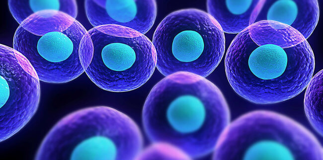 Ученые научили искусственные клетки всасывать питательные вещества. Фото.