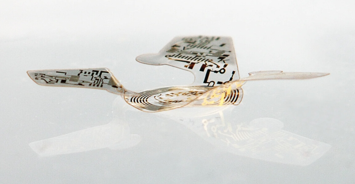 Считается, что крошечные устройства смогут защитить природу от загрязнения. Фото.