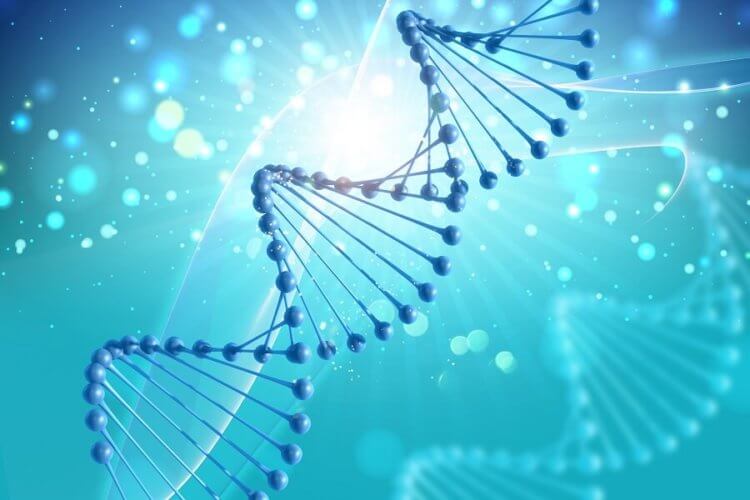 Что такое эпигеном и как он влияет на развитие зародыша. Возможная причина появления однояйцевых близнецов заключается не в ДНК, а эпигенетике, отвечающей за работу генов. Фото.