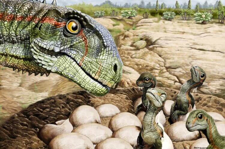 Муссавр — травоядный динозавр триасового периода. Детеныши муссавров рождались размером с ладонь. Фото.