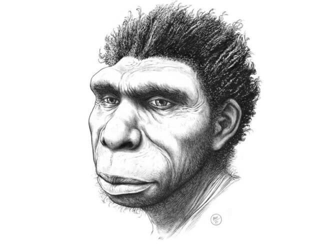 Обнаружен новый вид предка человека — Homo bodoensis. Фото.