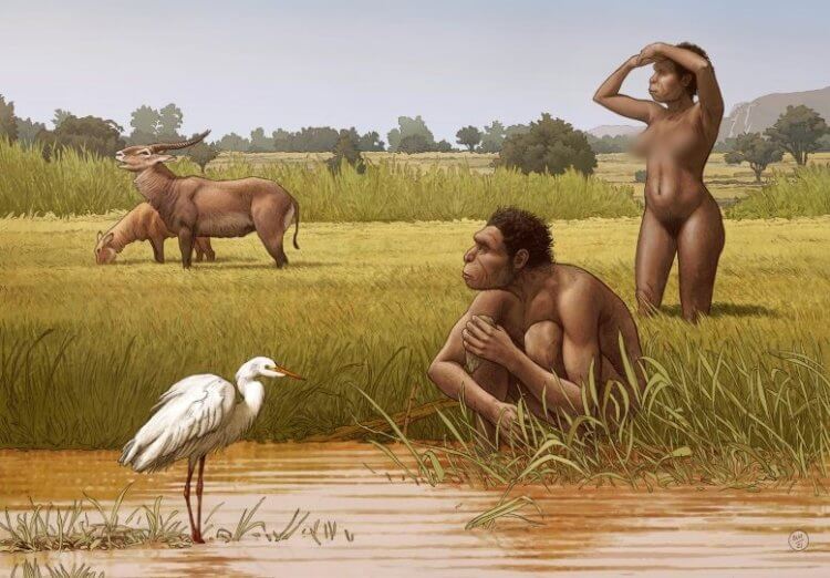 Предок человека разумного поможет в изучении эволюции. Homo bodoensis жил около 500 тысяч лет назад. Фото.