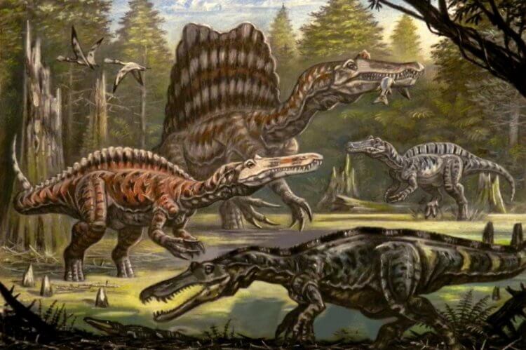 Динозавр «адская цапля» может пролить свет на историю происхождения спинозавров. Спинозавриды — гигантские хищные динозавры с крокодилоподобными мордами. Фото.