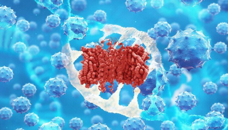 Ученые нашли у животных мутацию гена, которая блокирует размножение ВИЧ и вируса Эбола. Ученые обнаружили ген, который защищает некоторых животных от ВИЧ и вируса Эбола. Фото.