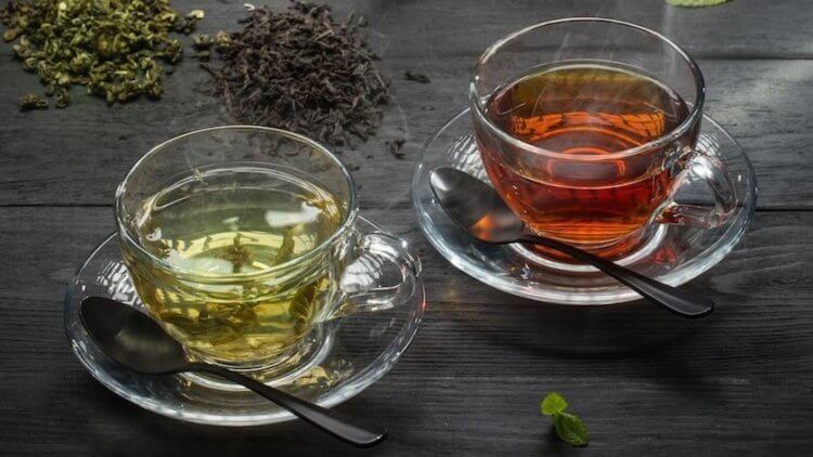 Зеленый чай стимулирует гены. Ученые из Швейцарии считают, что зеленый чай полезнее черного. Фото.