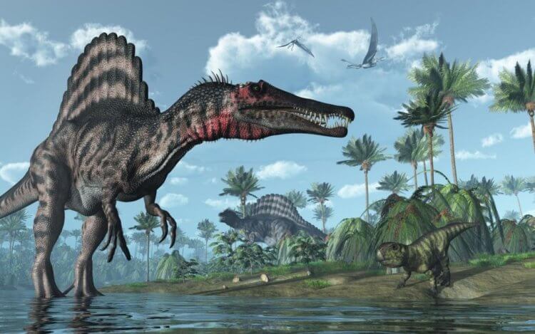 Что известно о спинозаврах. Окаменелости спнозавридов обнаружены в горных породах возрастом от 145 до 125 млн лет. Фото.