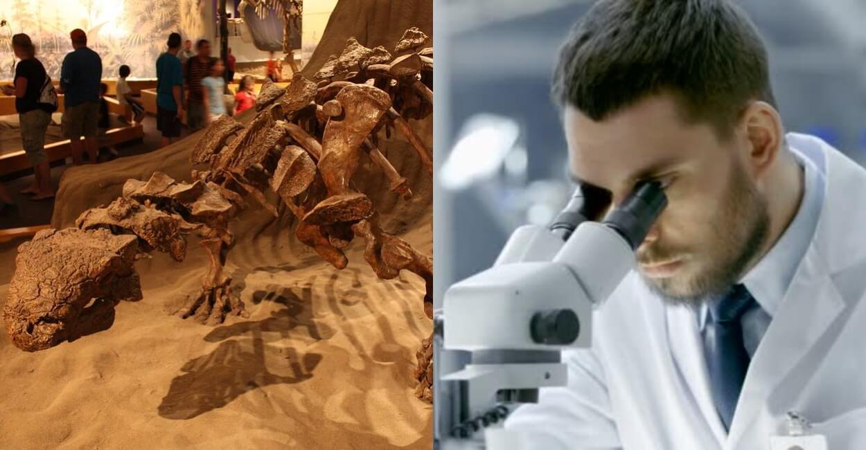 Исследование показало, что все муссавры, чьи останки обнаружили палеонтологи, погибли в одно время. Фото.