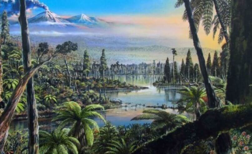 Древние пожары в Антарктиде. Когда-то давно Антарктида выглядела так. Фото.