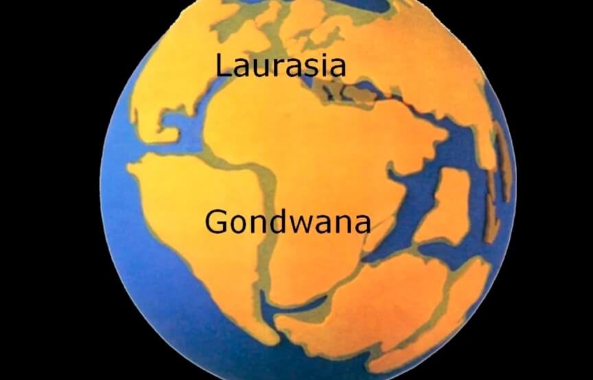 Причина пожаров в Антарктиде. Когда-то давно облик нашей планеты выглядел так. Фото.