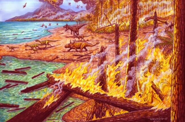 Миллионы лет назад в Антарктиде горели леса. Как такое возможно? Фото.