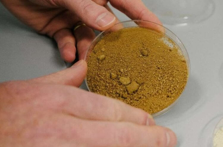 Особенности искусственного кофе. Искусственный кофе, созданный финскими учеными. Фото.