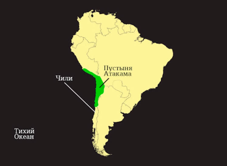 В пустыне Атакама найдены мумии ярких попугаев. Какой секрет они хранят? Пустыня Атакама на карте Южной Америки. Фото.
