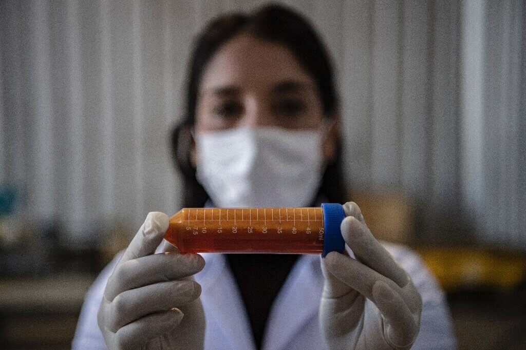 Необычное питание бактерий — как ученые научили их питаться металлом. После переработки металла бактериями остается раствор, который можно использовать для экологичной добычи меди. Фото.