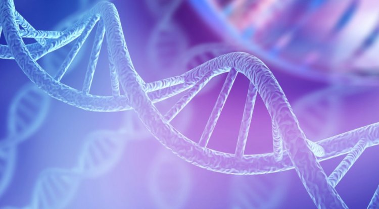 Восстановление внешности по ДНК. Как видно, используя генетические данные ученые способны на очень многое. Фото.