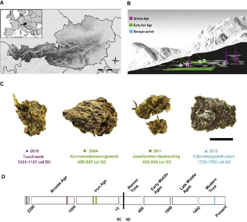 a) расположение соляных шахт на карте; b) места, где были найдены окаменелые фекалии; c) датировки образцов; d) распределение образцов по историческим эпохам. Фото.