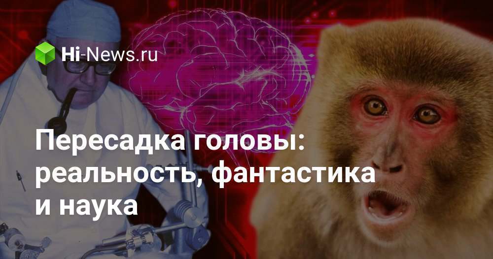 Можно ли пересадить мозги. Пересадка головы обезьяны. Пересадка головы обезьяны 1970. Пересадка мозга возможна или невозможна. Пересадка головы обезьяны видео.