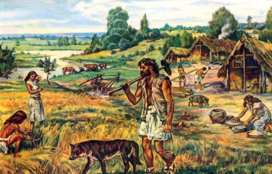 Причина уменьшения мозга человека. Объем человеческого мозга мог уменьшиться из-за разделения труда. Причина уменьшения мозга человека. Объем человеческого мозга мог уменьшиться из-за разделения труда. Фото.