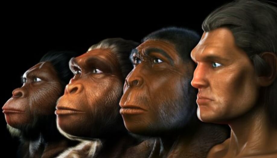 Способность чувствовать опасность передалась нам от предков. Фото.