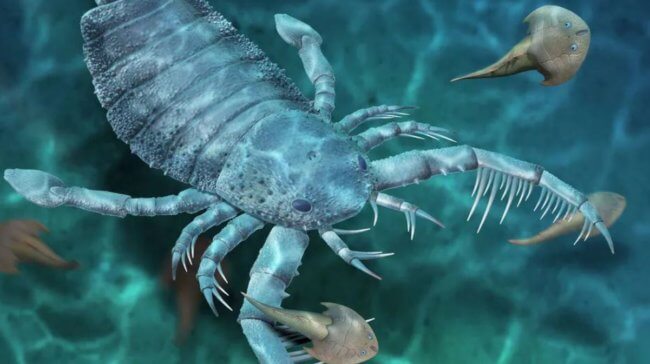 В Китае нашли окаменелости гигантского морского скорпиона. Фото.