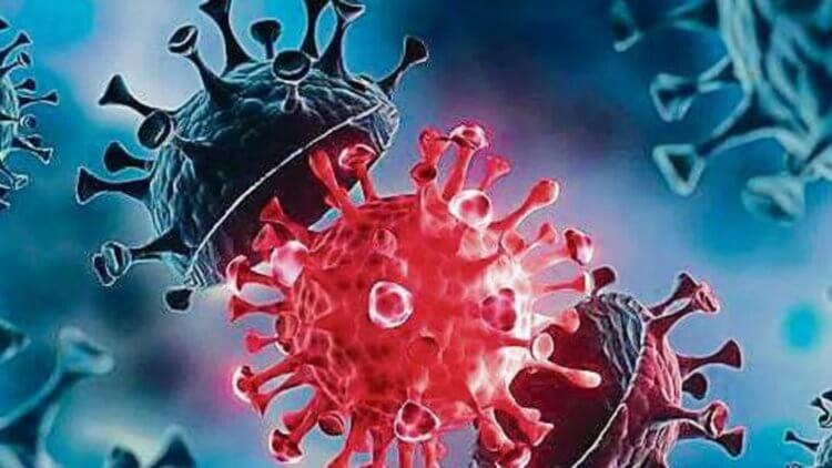Что известно о новых вариантах коронавируса?