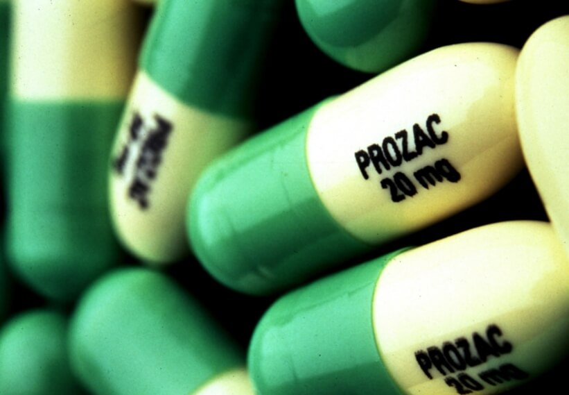 Депрессивную мышь удалось вылечить при помощи «Прозака». Фото.