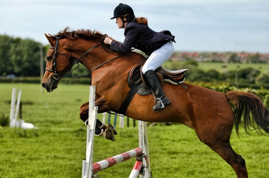 При езде на лошади обязательно носить на голове шлем. Фото.