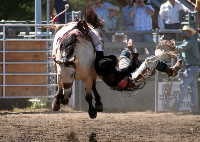 Во время падения с лошади можно вдобавок получить в лицо копытом — в этом случае ужасных последствий не избежать. Фото.
