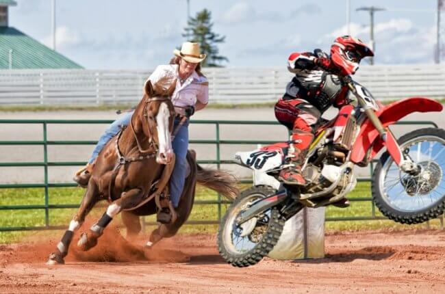 Что опаснее: езда на лошади или на мотоцикле? Фото.