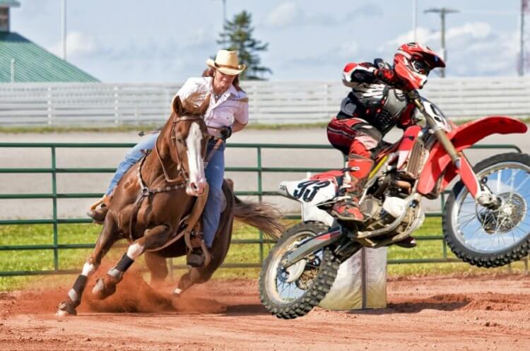 Что опаснее: езда на лошади или на мотоцикле? Ученые уверены, что езда на лошади в четыре раза опаснее, чем на мотоцикле. Фото.
