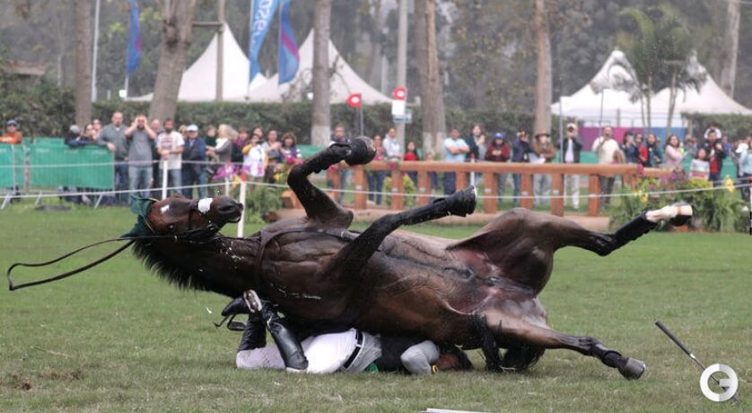 Руи Фонсека под своей лошадью. Фото.