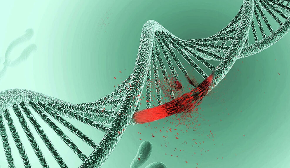 Полимелия у людей. Примеры полимелии у людей я вставлять не буду — увиденное может вас шокировать. Фото.