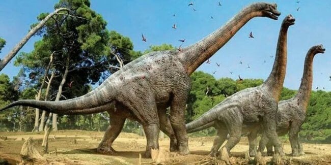 Социальное поведение первых динозавров помогло им пережить массовое вымирание. Фото.