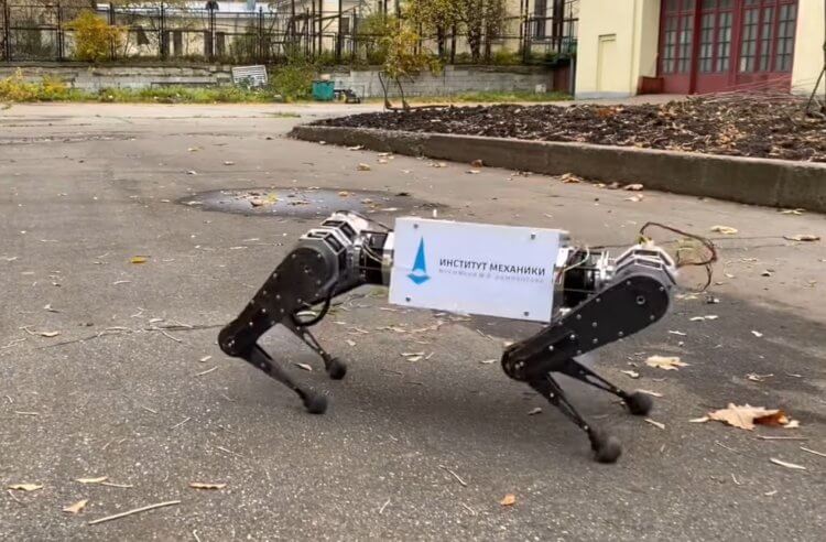 В России создан четвероногий робот как у Boston Dynamics. Российские инженеры разработали своего первого робота-собаку. Фото.