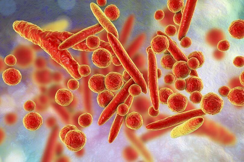 Бактерии Mycoplasma pneumoniae эффективно и безопасно могут доставить лекарственные препараты к вирусам. Фото.