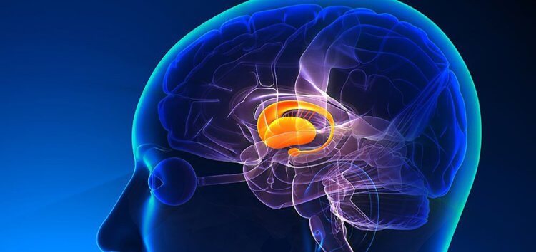 Ученые выяснили что помогает мозгу ориентироваться в непонятных ситуациях