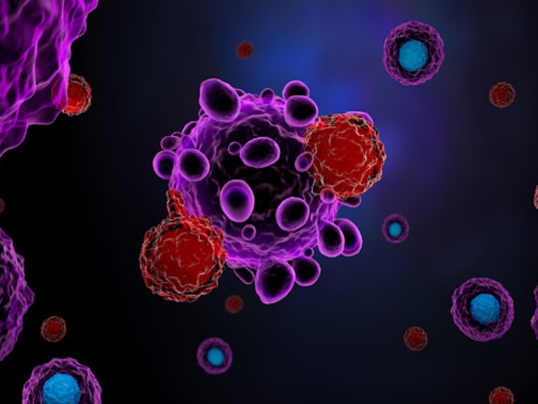 Наибольшую эффективность показало использование антидепрессантов с иммунотерапевтическими веществами. Фото.