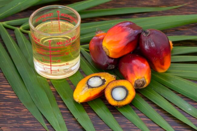 Пальмовое масло способствует распространению раковых клеток. Фото.