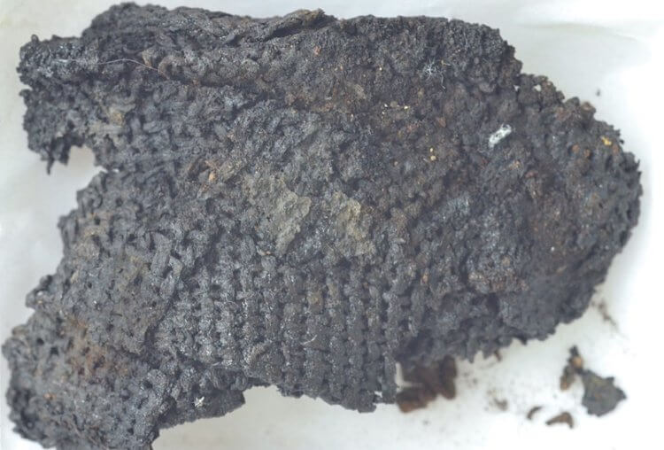 Древняя находка показала, что в эпоху неолита ткань делали из коры дуба