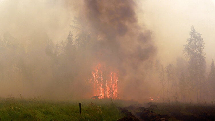 Дым от лесных пожаров скапливается в стратосфере. Предположительно озоновый слой уничтожает дым от лесных пожаров. Фото.