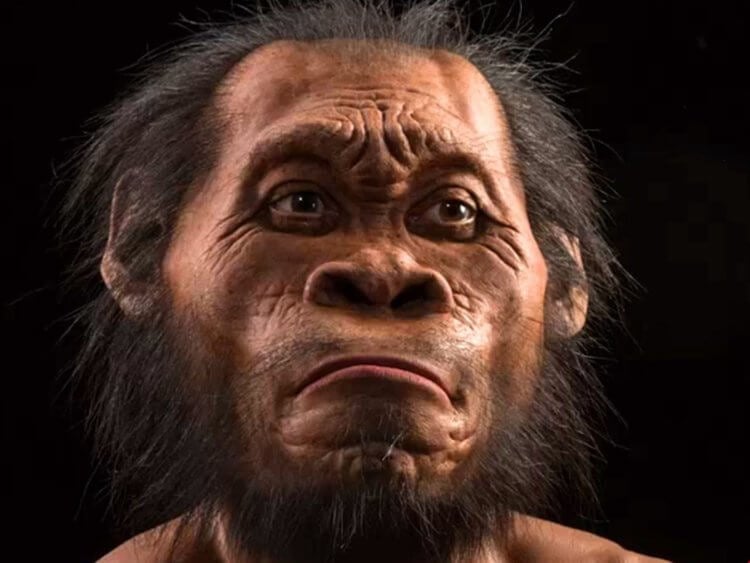 Найденные останки ребенка Хомо Наледи добавили ученым загадок о древнем человеке. Визуализация Homo Naledi, одного из самых первых людей на Земле. Фото.