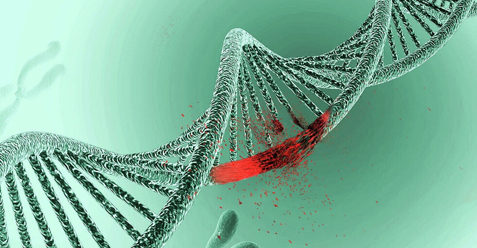 Некоторые вирусологи предполагают, что Молнупиравир может вызвать мутации в генетическом материале пациентов. Фото.