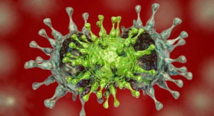 Неуязвимое антитело против коронавируса. Постоянные мутации коронавируса мешают создать эффективные терапевтические препараты на основе антител. Фото.