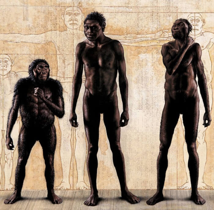 Найденные останки ребенка Хомо Наледи добавили ученым загадок о древнем человеке