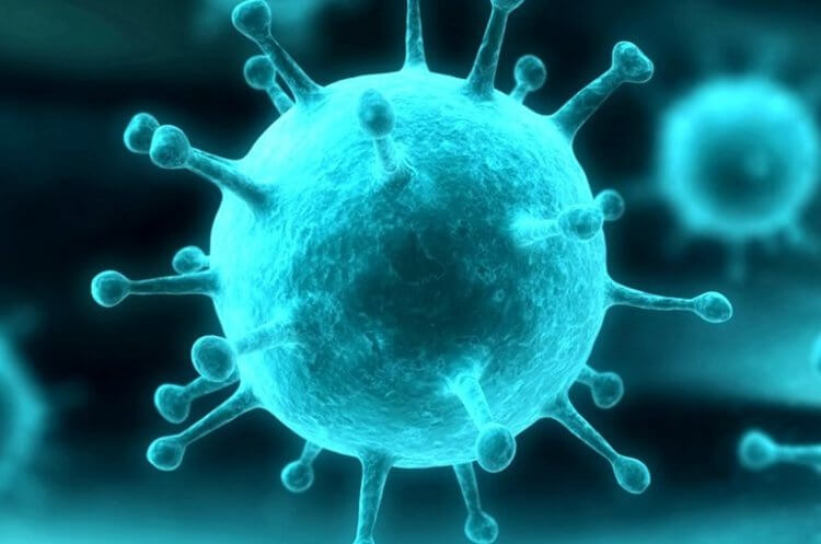 Ученые нашли уязвимость коронавируса — без клеточных жиров он совершенно безопасен
