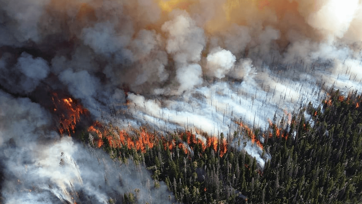 Большое количество опасных для здоровья вредных частиц поступает в с дымом от лесных пожаров. Фото.