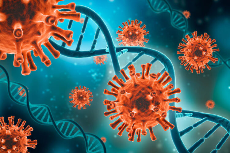 Неизученный ген повышает риск смерти от коронавируса в два раза. Ученые выявили ген, наличие которого приводит к тяжелому течению COVID-19. Фото.