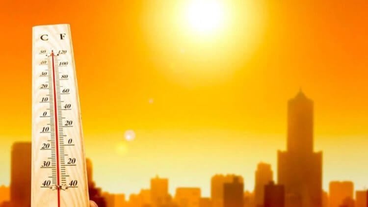 Экстремальная жара может стать для Европы нормой в ближайшее время